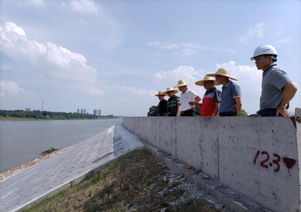三水区督查组在北江大堤排查汛期安全隐患点。.png